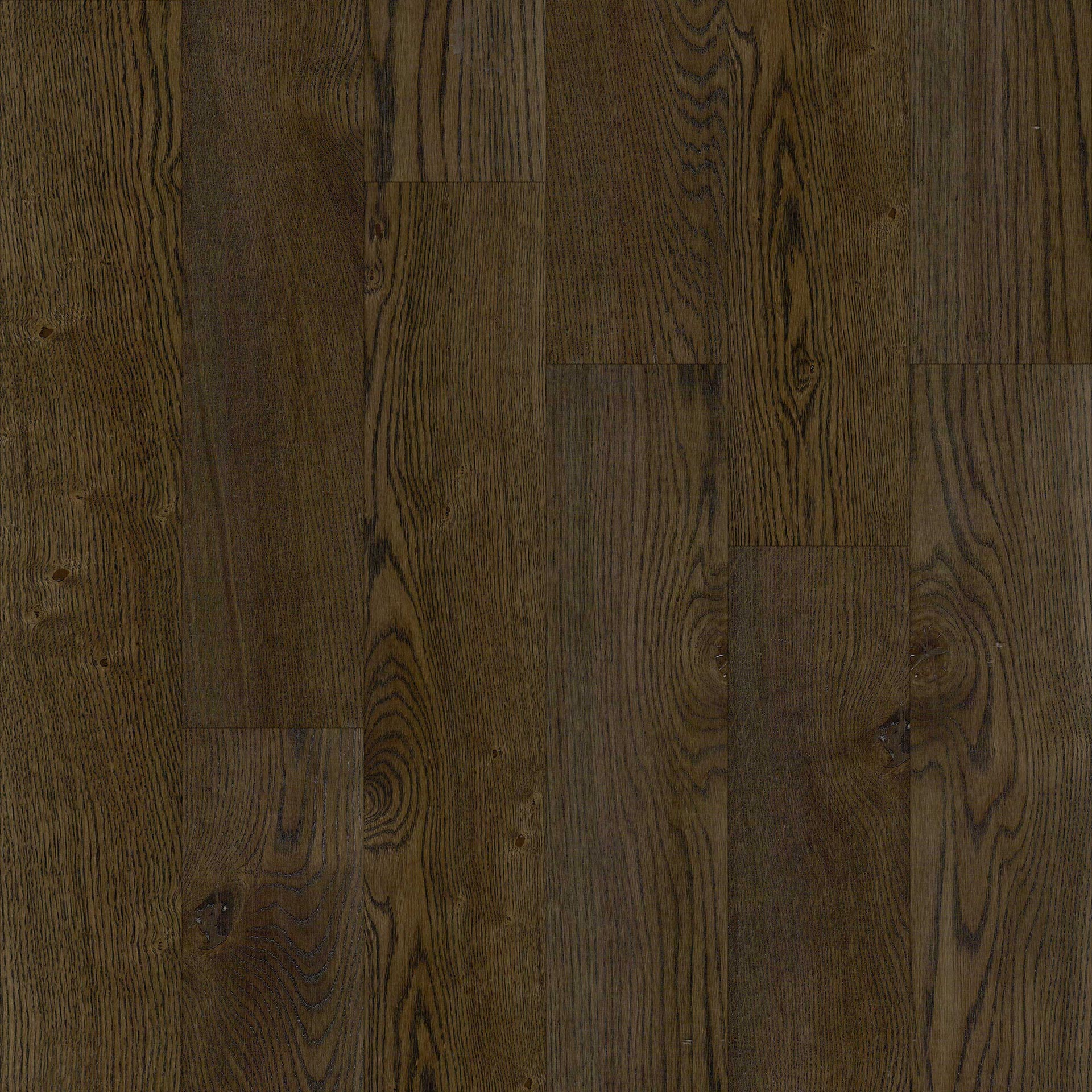 Expressive Oak 3109 Hardwood Solid and Engineered Flooring